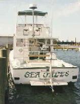 Rear View Sea Tales